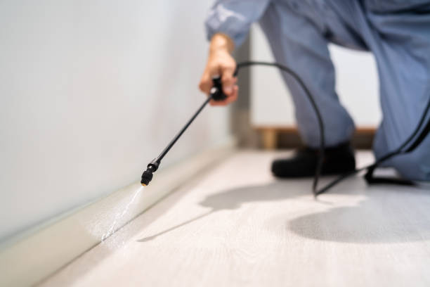 Licensed Fumigation Services service in Upshur County County, WV - Nex Pest Control
